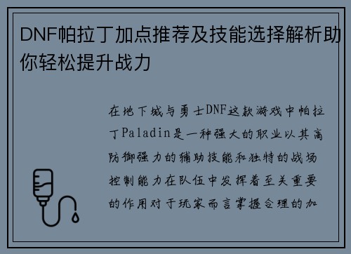 DNF帕拉丁加点推荐及技能选择解析助你轻松提升战力