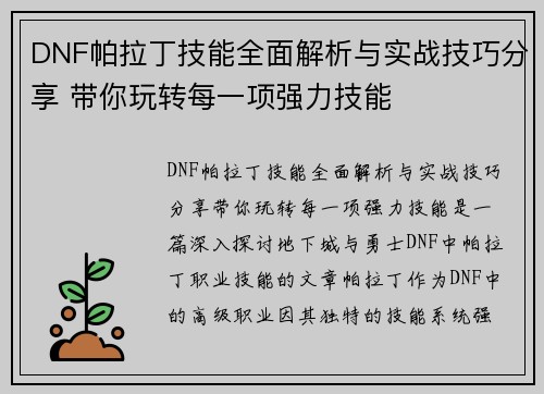 DNF帕拉丁技能全面解析与实战技巧分享 带你玩转每一项强力技能